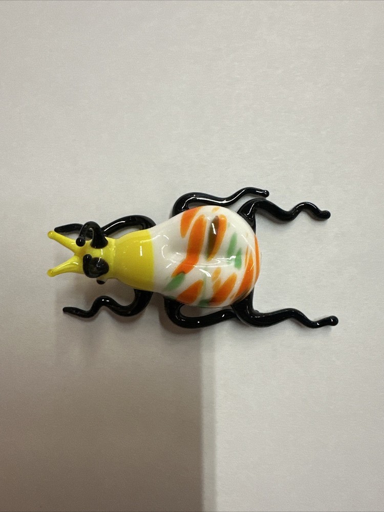 Glass Insect, Bug