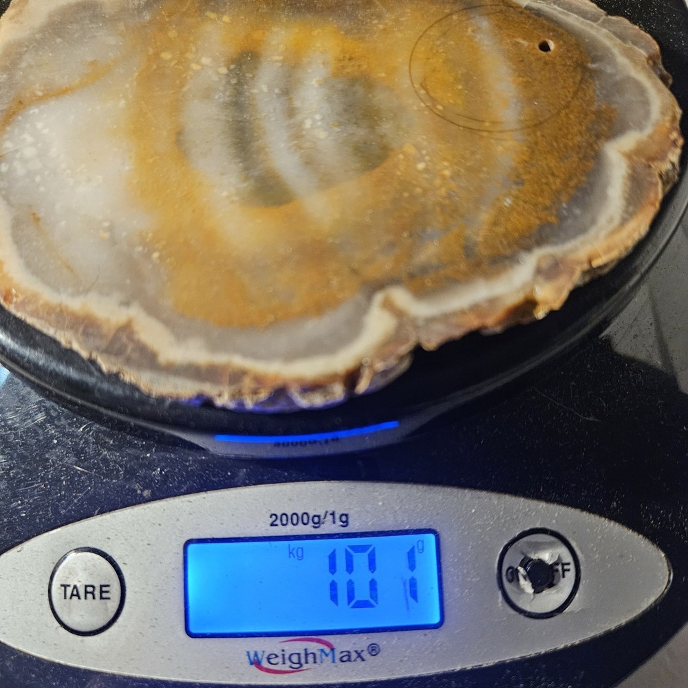 Agate Lapidary Slab 101 Grams