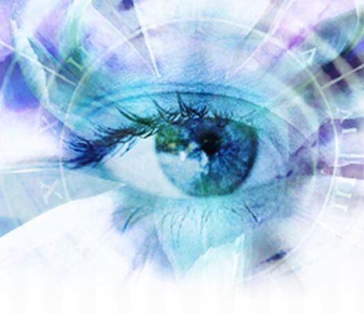 Blue Iris Pro v6.x ( Latest ) Video Camera Security Software - Full License Life