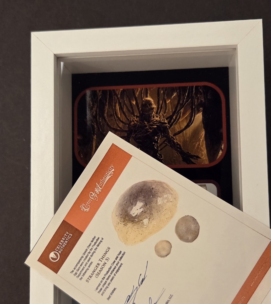 Stranger Things - Original Prop VECNA Upside Down FRAGMENT PIECE (SCREEN USED S5