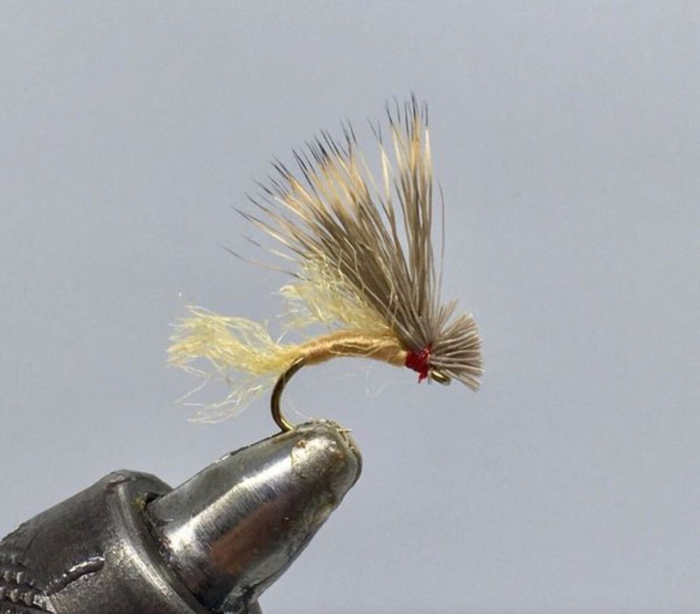 One Dozen (12) - Rinker's CDC Wonderbug - Dry Fly