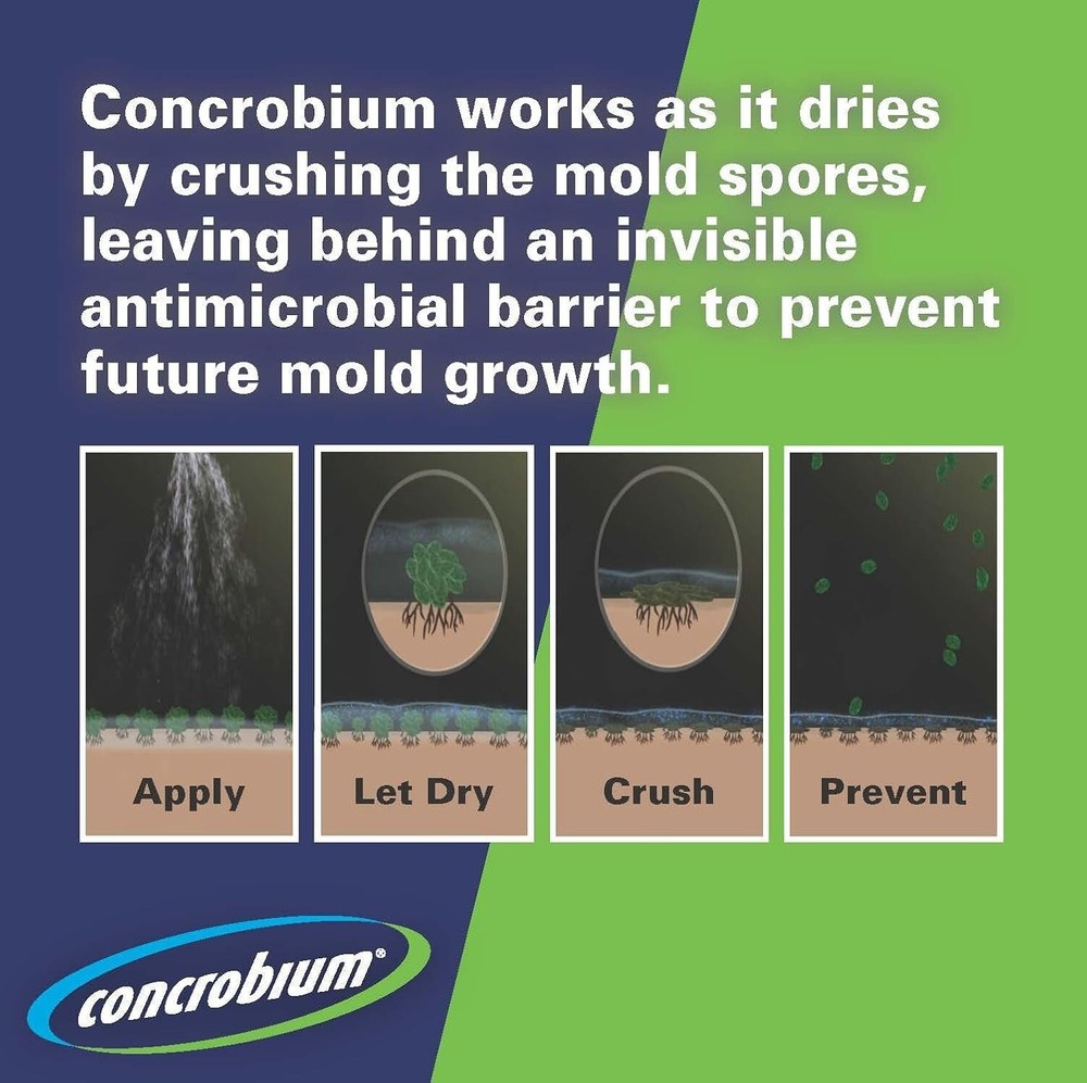 Mold Control Aerosol, 14.1 oz