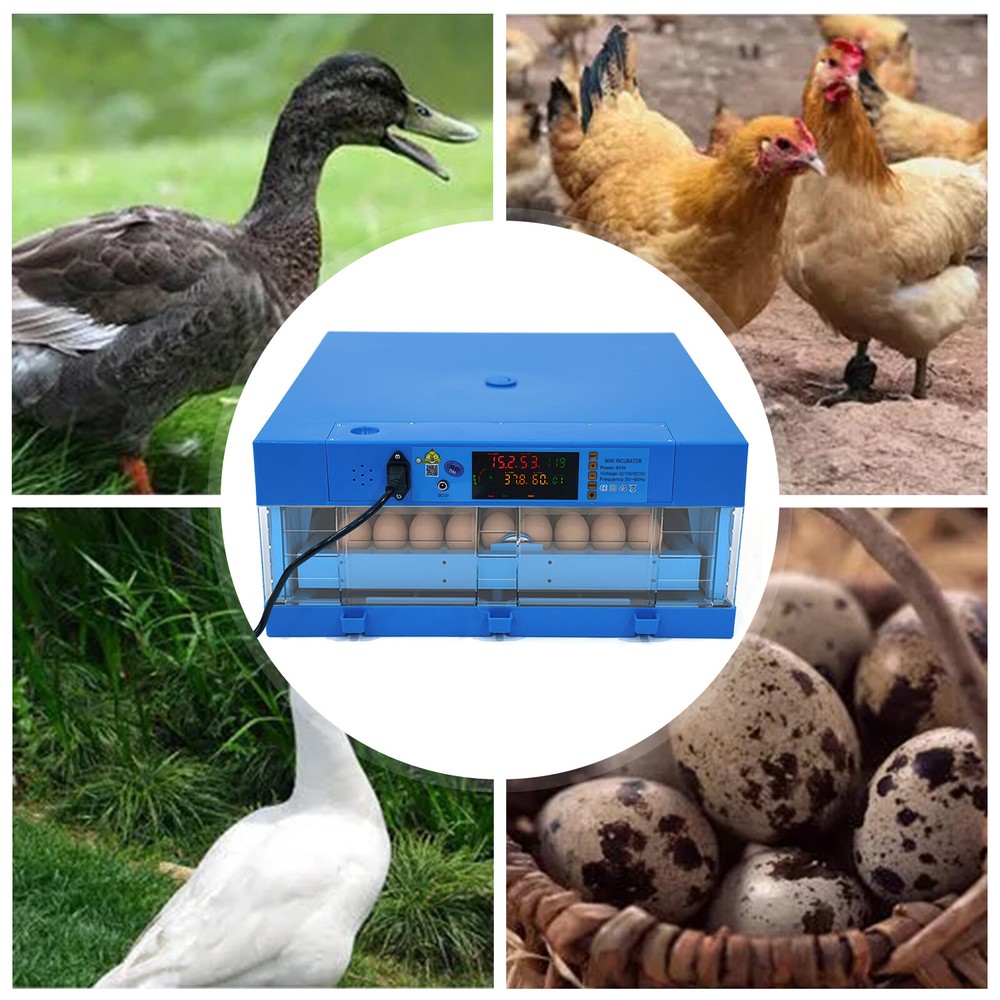 48 Eggs Incubator Hatching Digital Automatic Hatcher For Chicken Birds Hatching