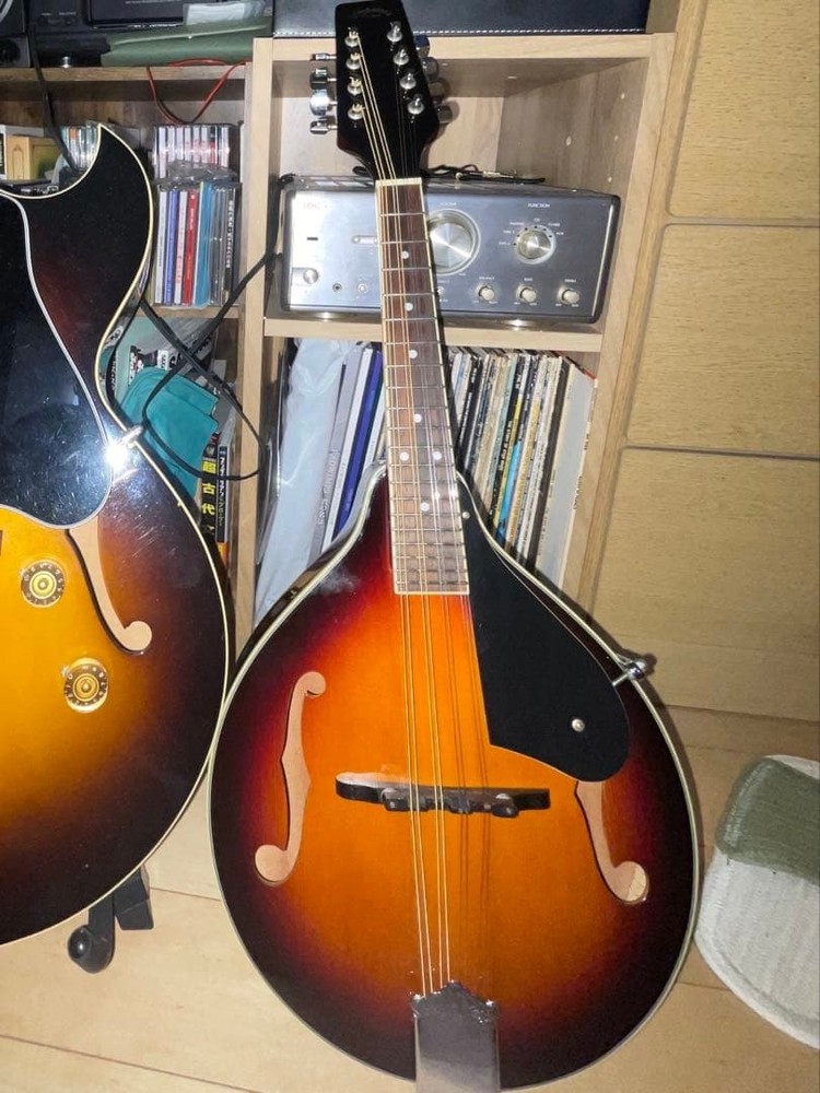 Stafford flat mandolin