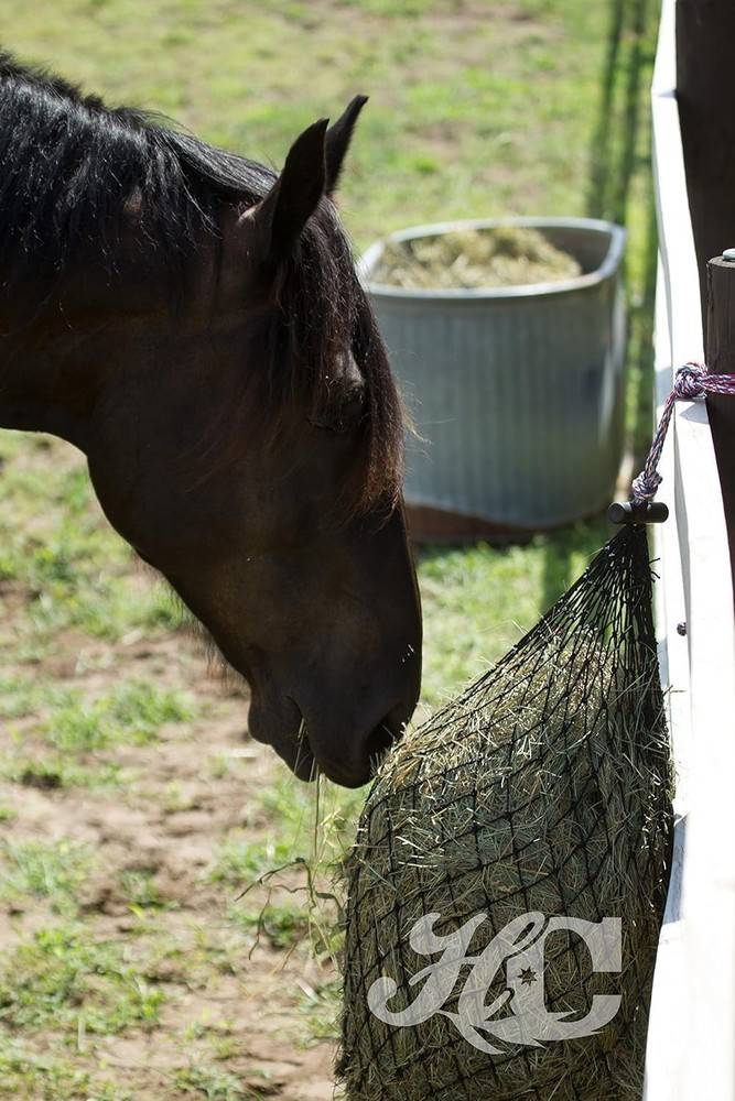 Efficient Horse Feeding Solution - UV Treated Half Bale Hay Net, Easy to Use