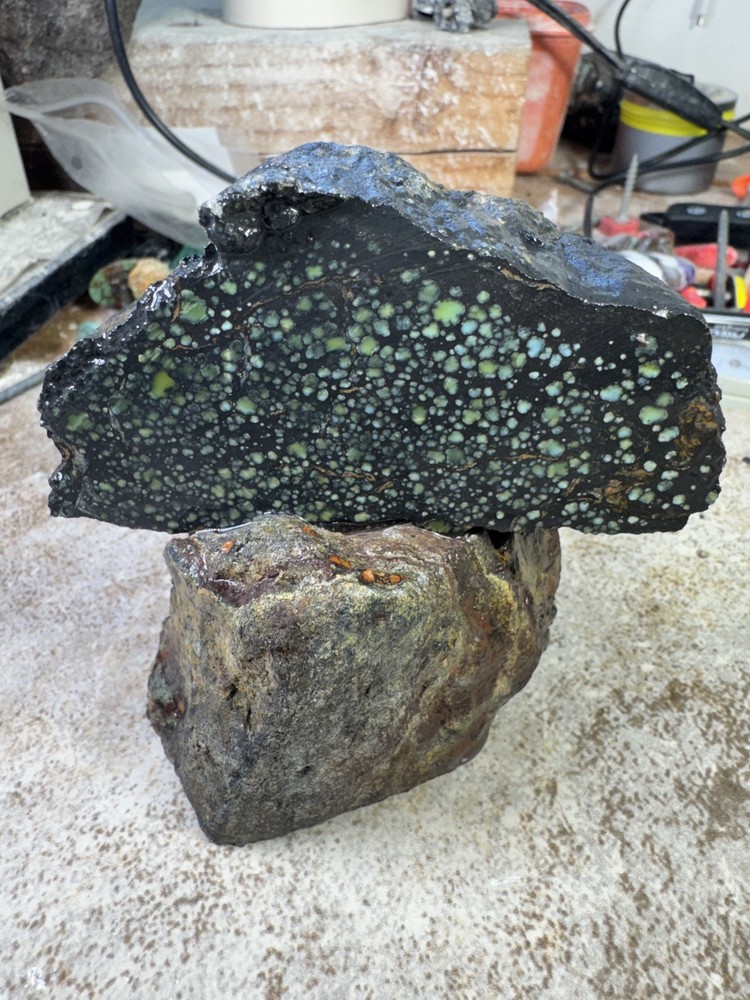 Natural Nevada Variscite rough star fox