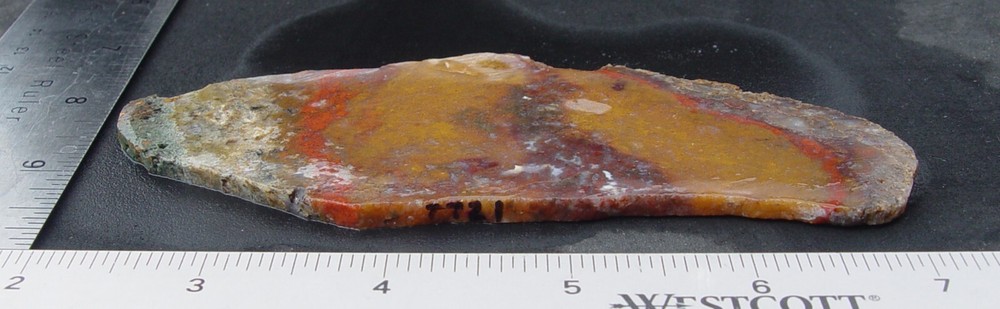 Macaw Agate from Mexico Lapidary Slab T721