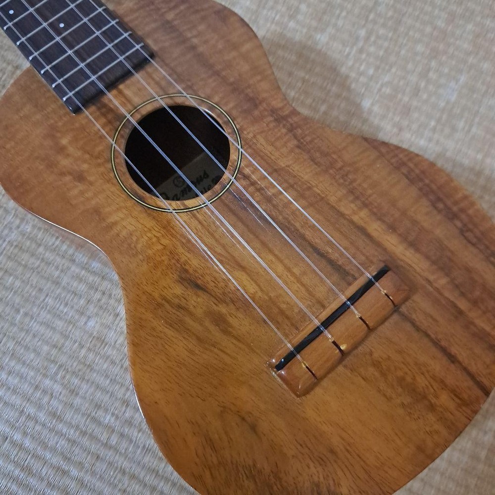 Ukulele Famous FS-5 with hard case