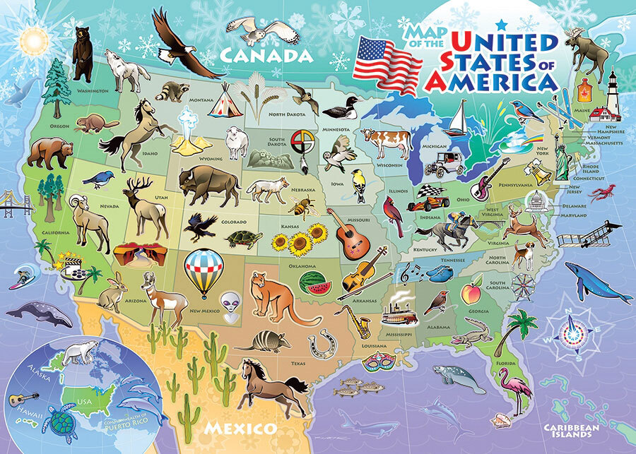 Cobble Hill USA Map 35 Piece Jigsaw Puzzle