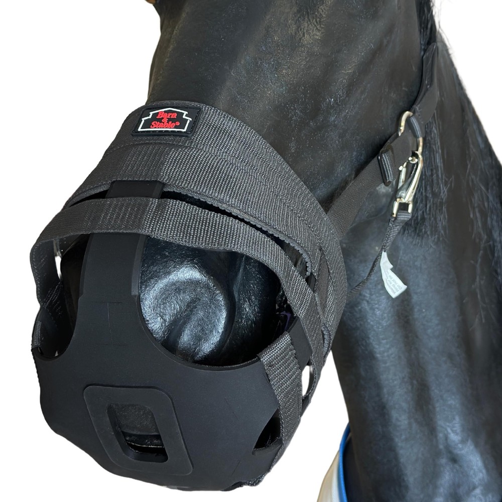 BARN & STABLE Horse Grazing Muzzle for Easy Breathe, Comfortable Muzzle Grazing