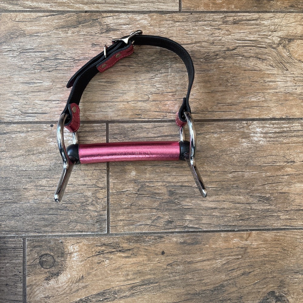 Leather Covered Pony Bit Gag Is Unused.