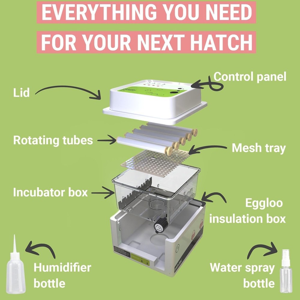 Easy Use 12 Egg Incubator with Humidity Control & Safe Egg Viewing Candler