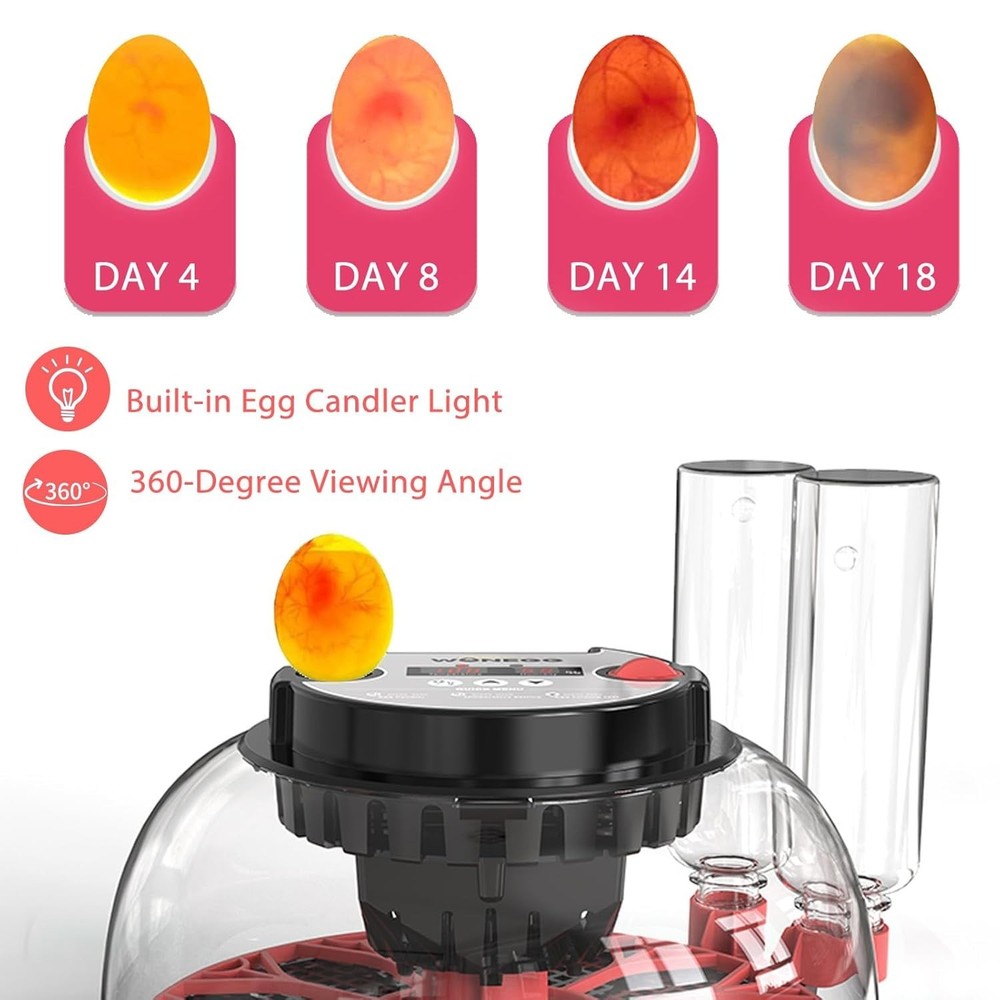 Incubators for Hatching Eggs, 12 Egg Incubator with Automatic Egg Turning and...