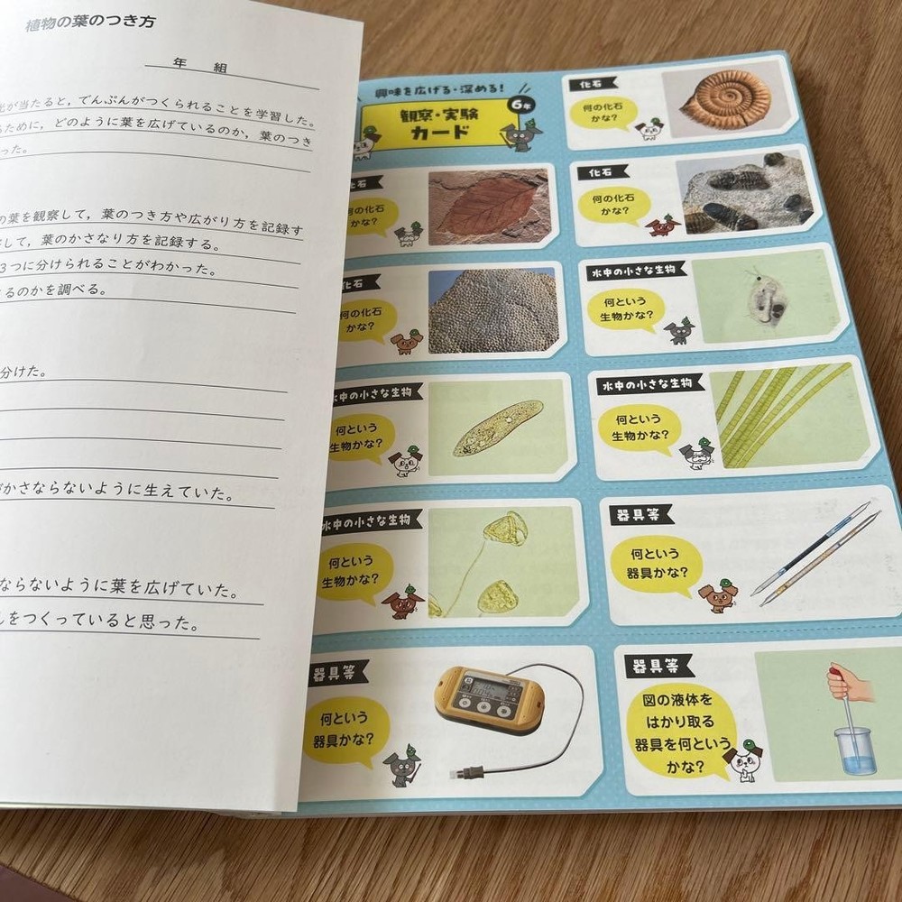 Japanese school textbook Perfect training for 6th grade elementary textbooks Sci
