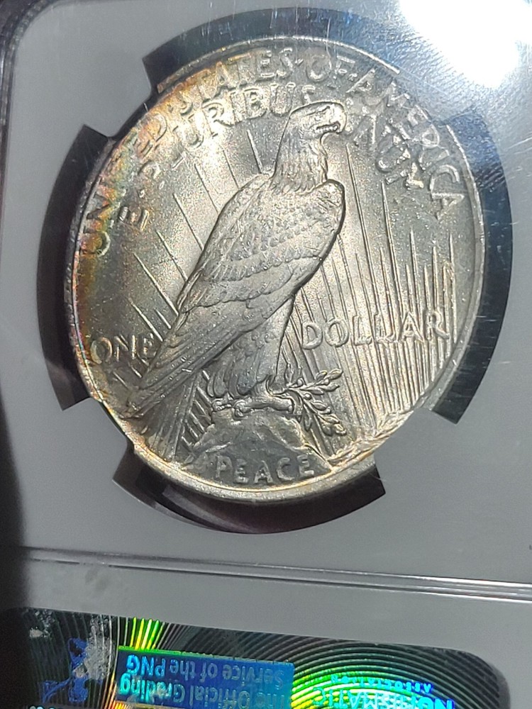 1922 $1 Peace Dollar MS65 NGC Toned