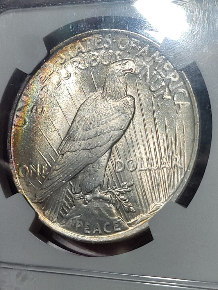 1922 $1 Peace Dollar MS65 NGC Toned