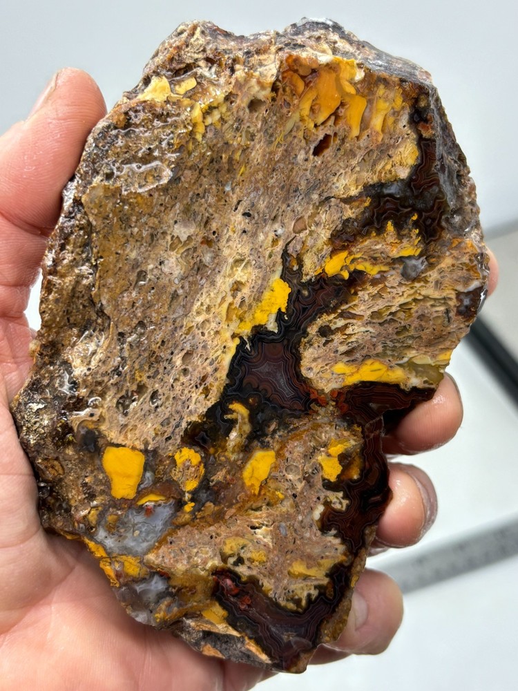 Turkish Agate Slab Cabbing Lapidary Collecting Combo Ship Avail