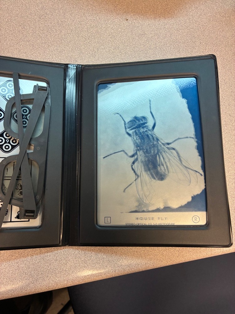 Optical Stereo Fly Vision Test-Great Condition!