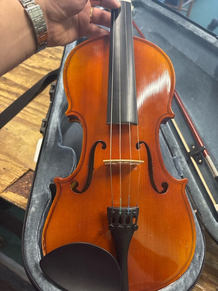 VIOLIN (HPB015511)