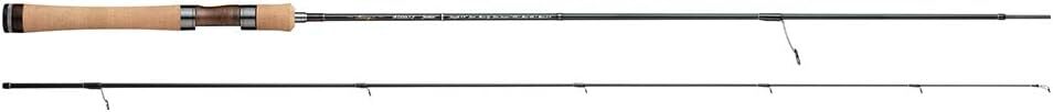 Tenryu Rod Rays