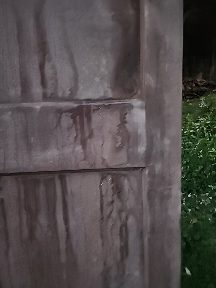 Antique 2 Panel Wood Door 30 X 77 X 1 1/2