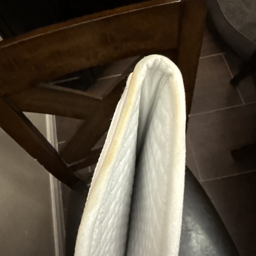 Maxtra Plus Shimmable Half Pad Large