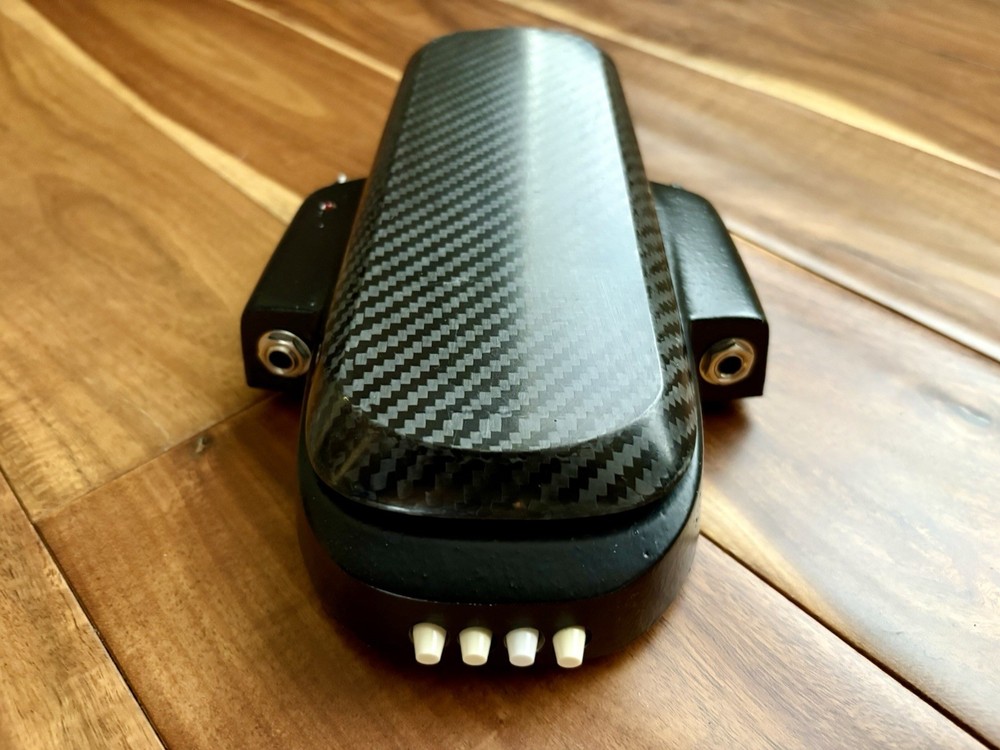 Roger Mayer Vision Wah MINT