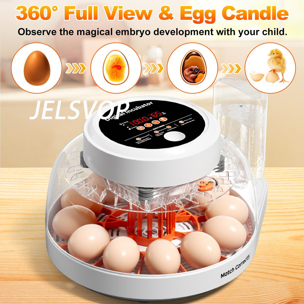 Upgraded Egg Incubator for Hatching Eggs, 12 Egg Capacity with Automatic Egg Tur