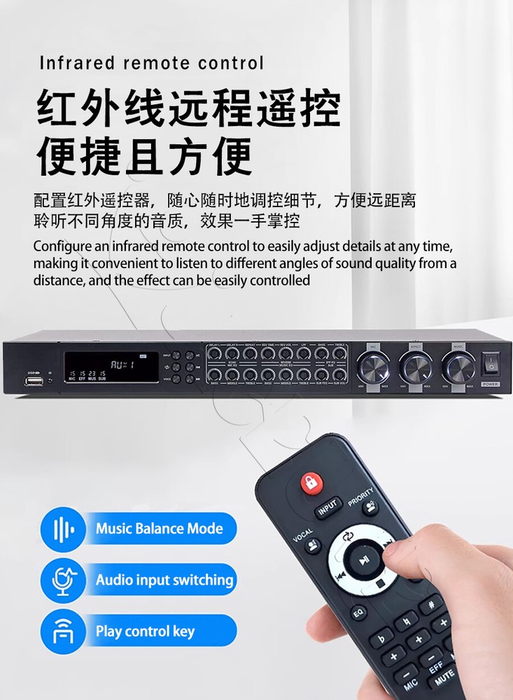 Professional Microphone Multifunctional Prea Digital Microphone KTV Karaoke