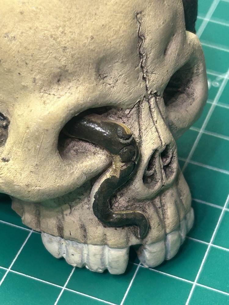 Porcelain Skull with Snake Art