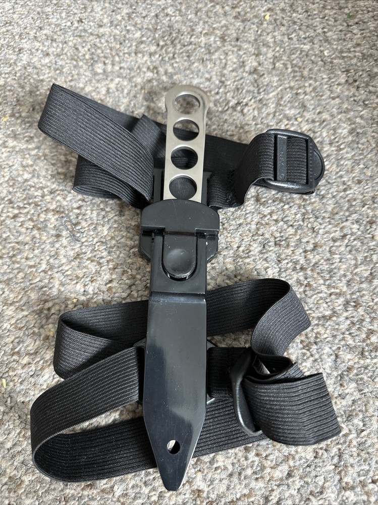 Dagger with case