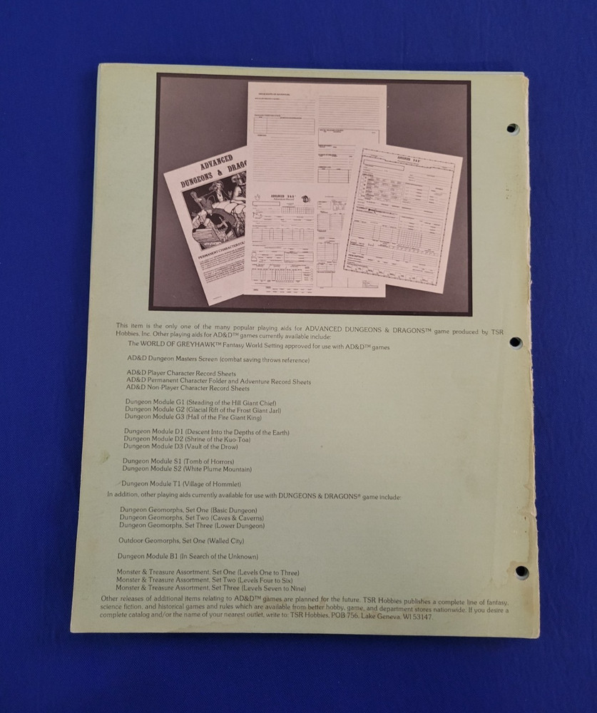 Permanent Character Folder and Adventure Records - AD&D 9029 (15 Sheets)
