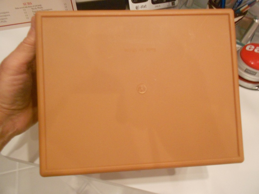HERSHEY'S S'MORES HINGED PLASTIC BOX WITH HANDLE 9" X 7" X 5 1/2"