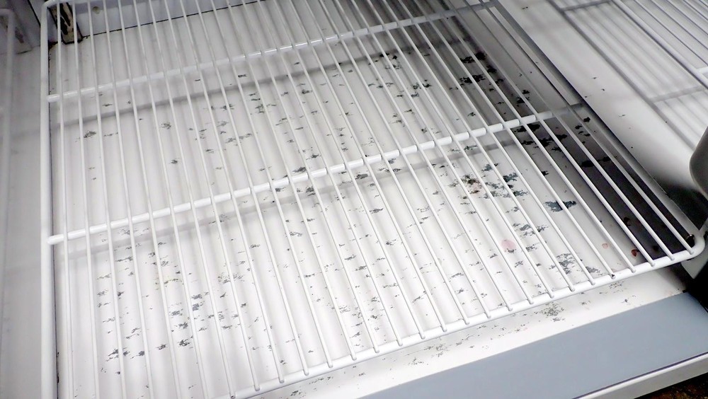 Thermo TSX5005SA Double Solid Door High-Performance Refrigerator