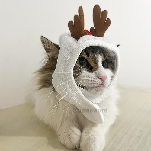 Cat Christmas Hat