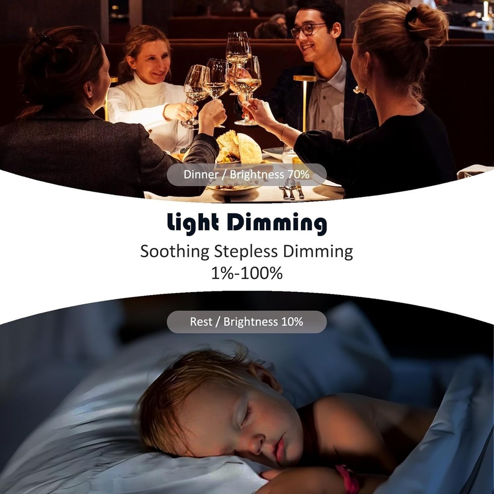 White Ceiling Fan Remote Control & Dimmer Switch with Timer Settings - 3-Speed