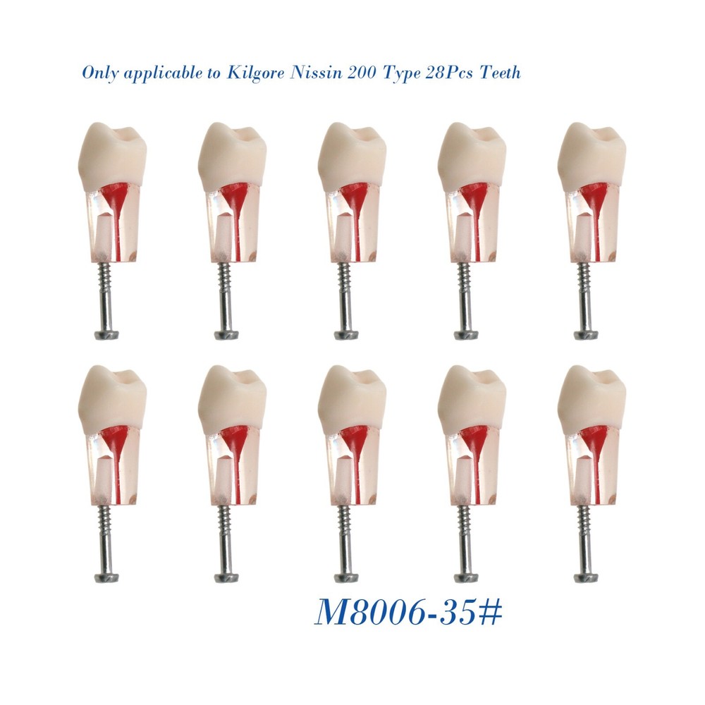 Dental 28Pcs Teeth Kilgore Nissin 200,Caries Root Canal Practice Replace Teeth