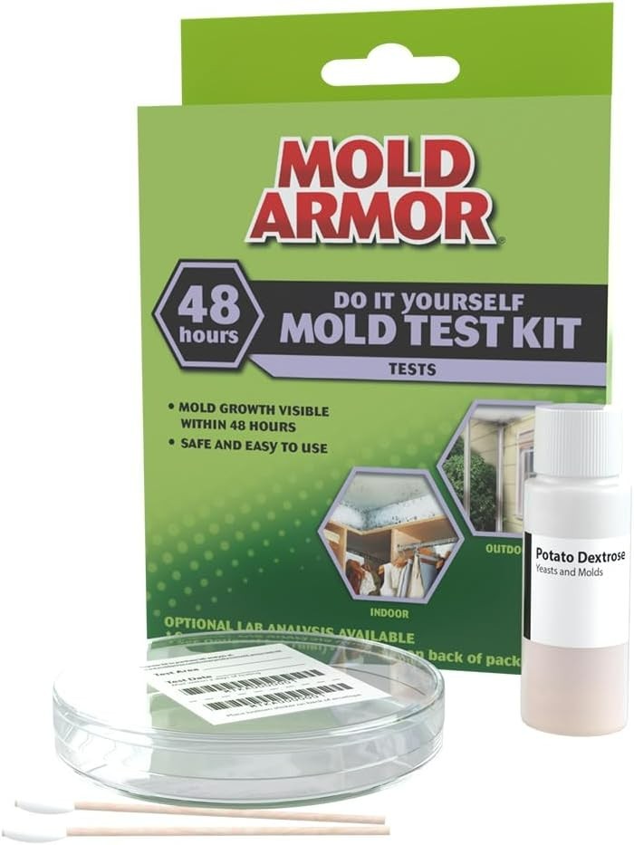Do It Yourself Mold Kit
