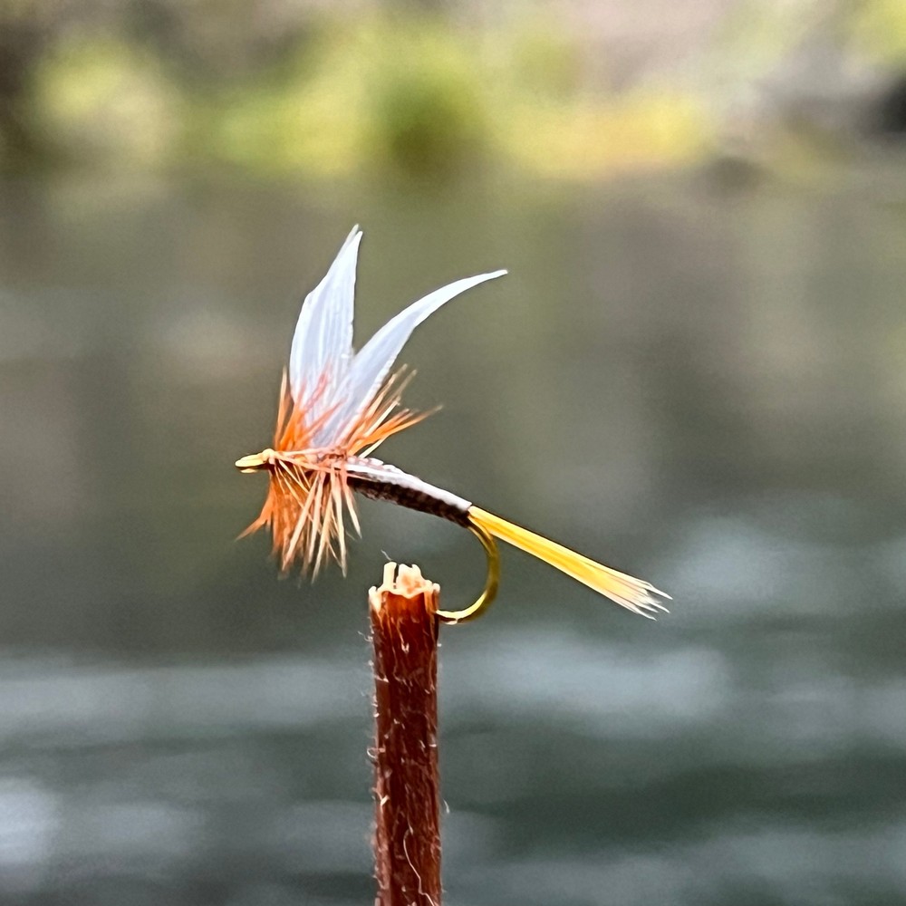 Ginger Quill | Size #14