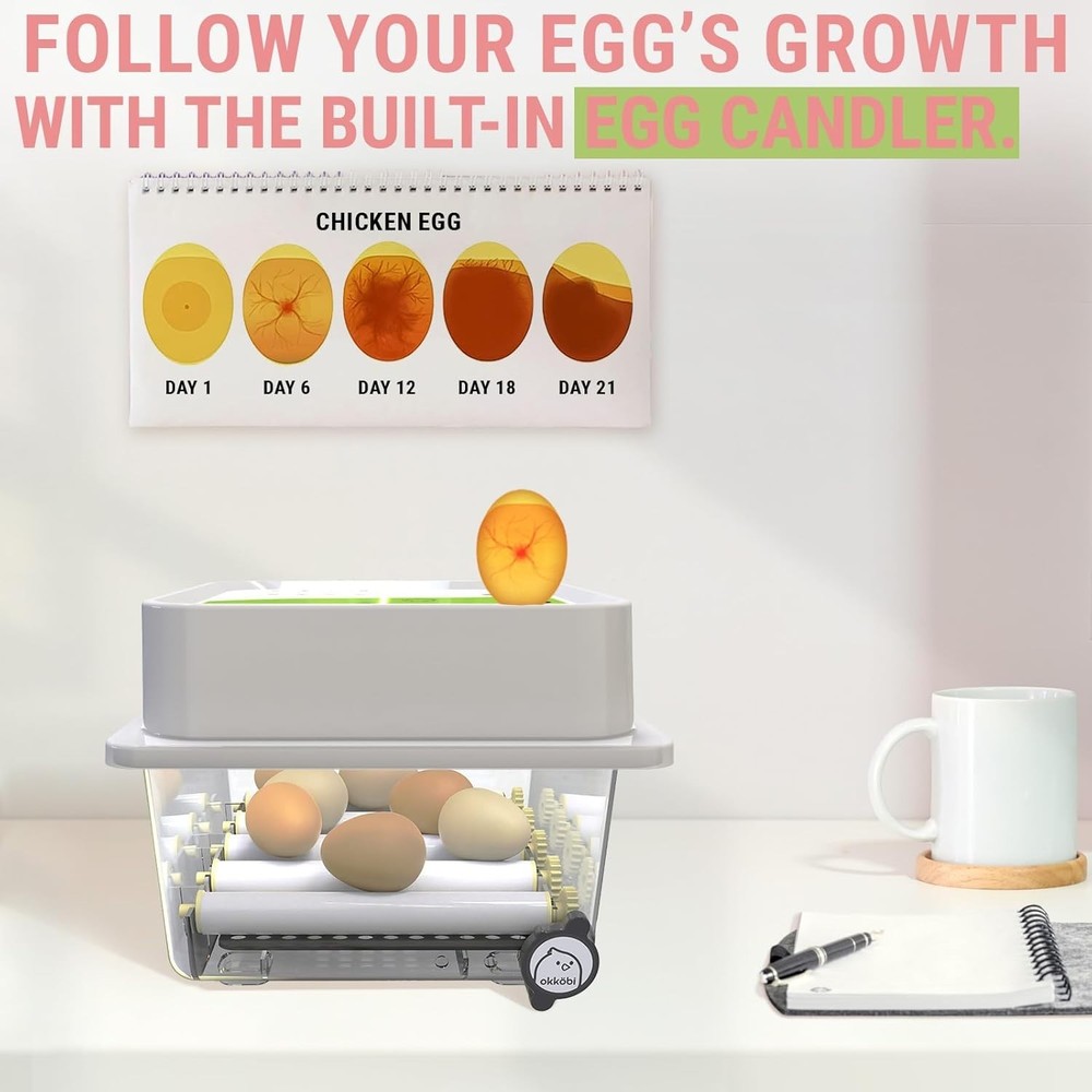 OBI-12 Incubator for Hatching Eggs – 36 Eggs, Easy to Use, Stable Temperature &