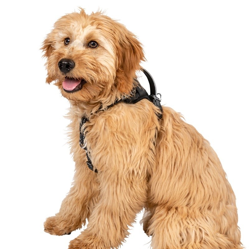 No Pull Dog Harness Reflective Adjustable Comfort Control Harness Walking New