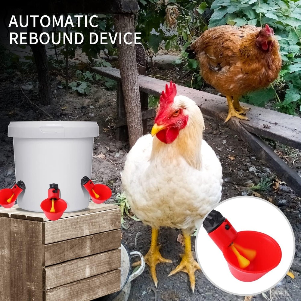 12Pack Automatic Chicken Waterer Cups - Hassle-Free Bird Hydration Solution