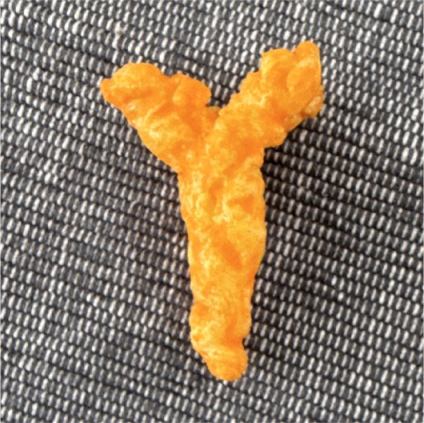 Y-Shaped Unusual Cheese Puff Snack Piece
