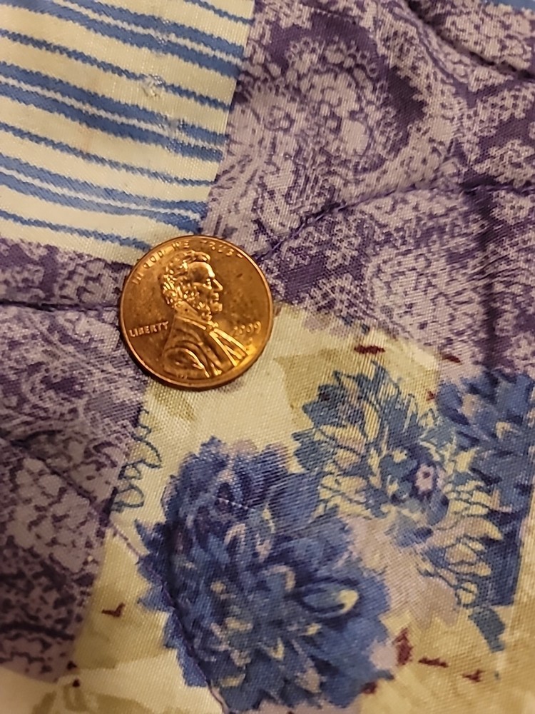 2009 D Lincoln Commemorative Cent Formative Years - BU
