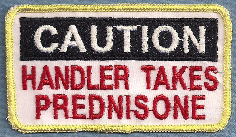 CAUTION HANDLER TAKES PREDNISONE - service dog vest patch