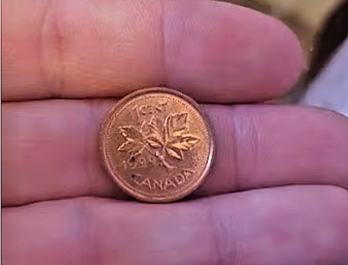 1999 Canadian One Cent Coin Circulated & Uncertified