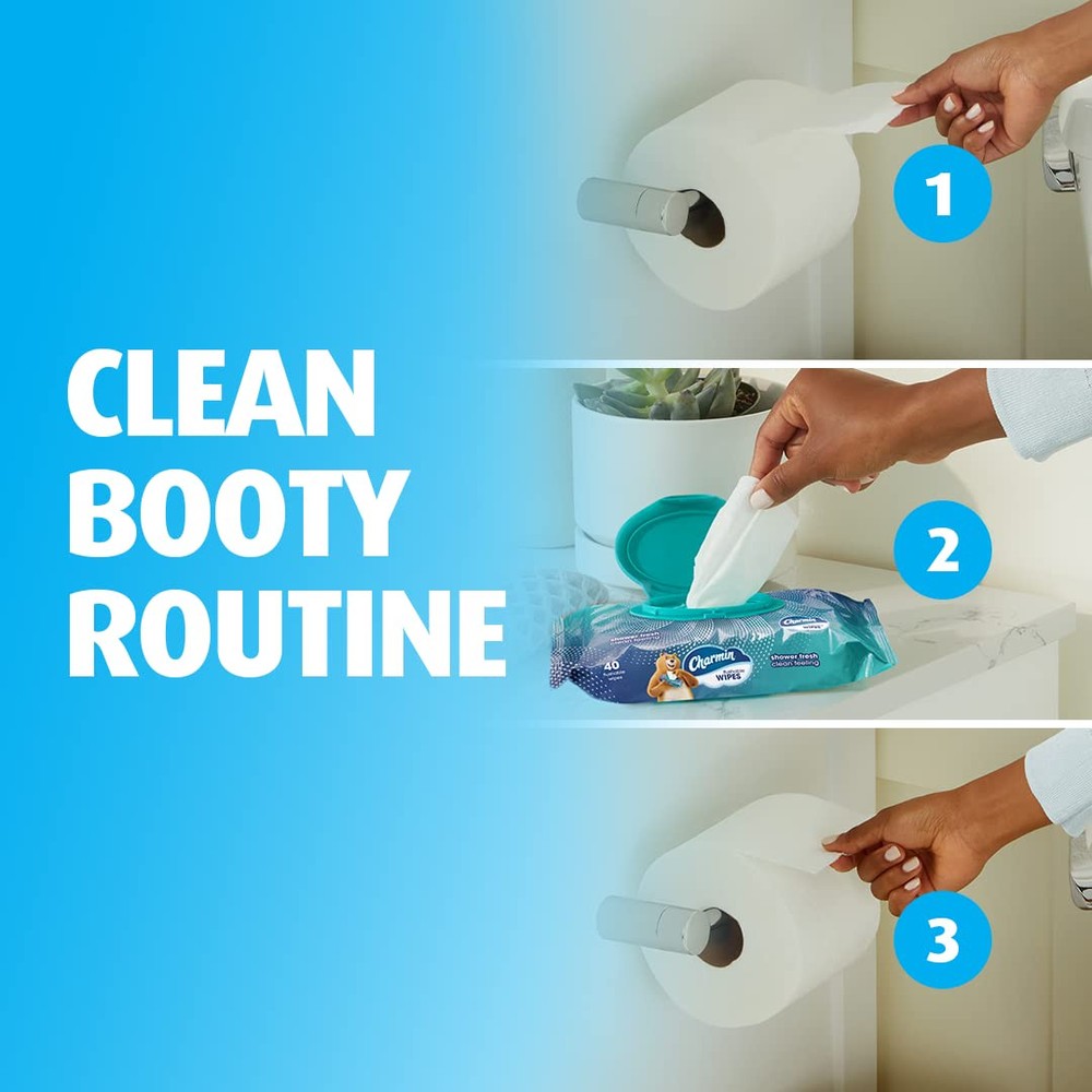 Charmin Flushable Wipes 2 Pack 40 Sheets Portable Cleaning Wipes