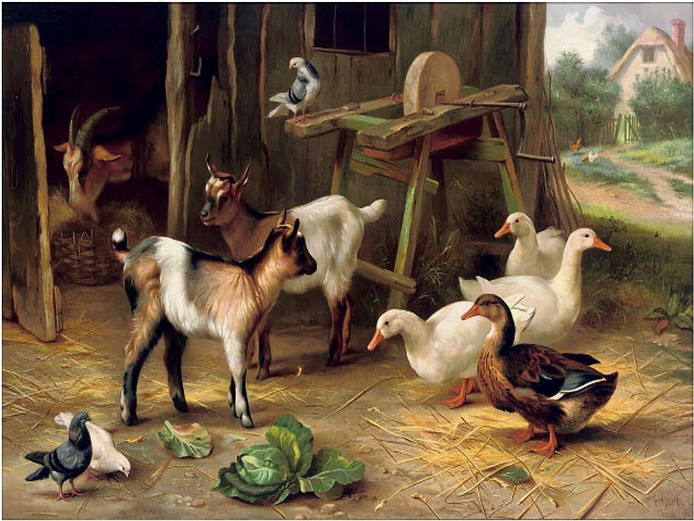 Goats Ducks Pigeons Farmyard Accent Tile Mural Kitchen Wall Backsplash Ceramic