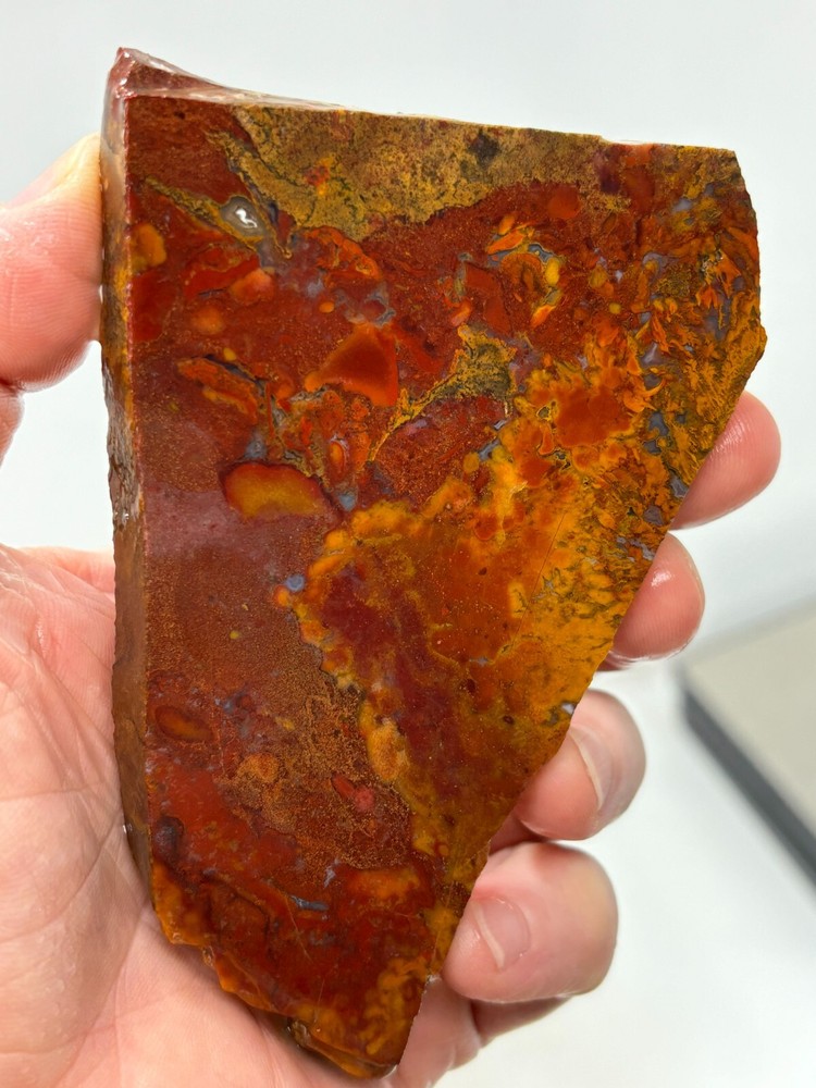 Mexican Cathedral Agate Slab Cabbing Lapidary Combo Ship Avail