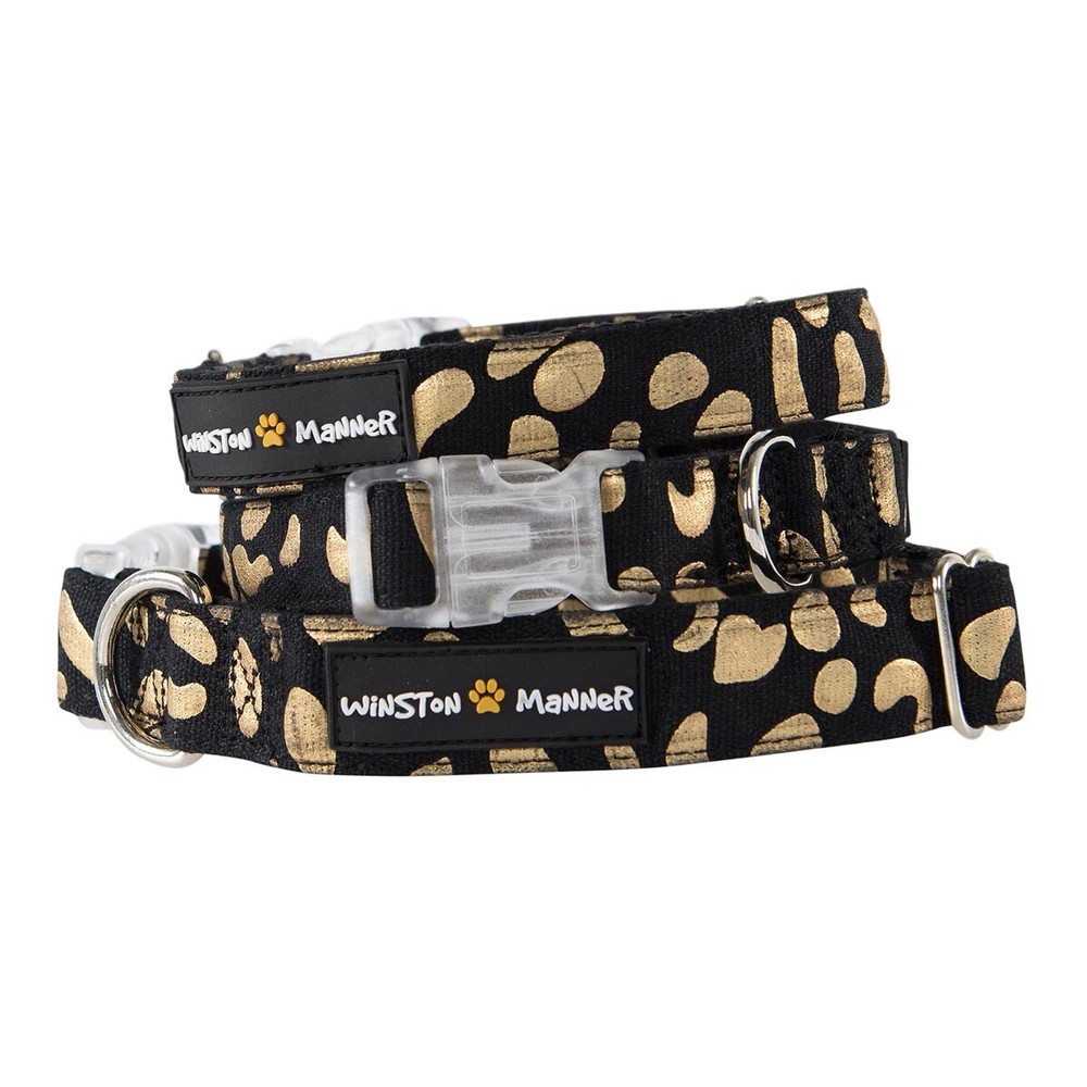 Disco Dog Collar